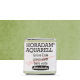 Aquarela Horadam Half Pan #516 Green Earth